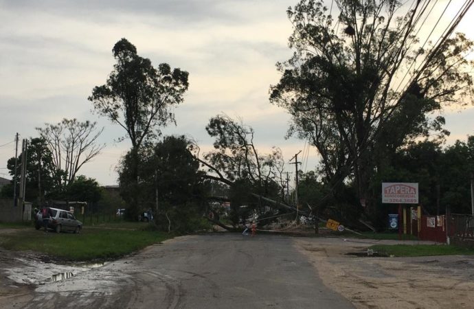 Vento forte danifica casas e derruba árvores em Porto Alegre