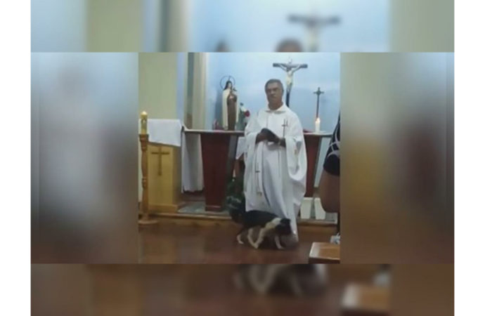 VÍDEO: Cão viraliza após “invadir” missa para brincar com o padre no RS