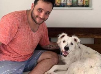 Cão surdo rejeitado é adotado por estudante também surdo