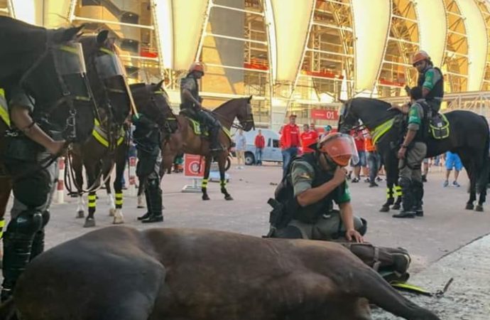 Policial chora ao ver seu cavalo morrer ao ter mal súbito no Beira Rio