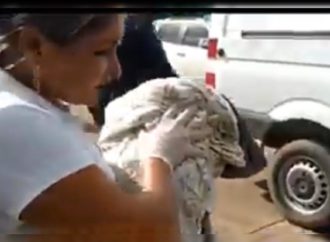 VÍDEO: Pedreiro encontra criança recém-nascida dentro de mala