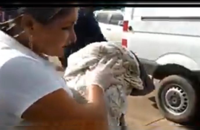 VÍDEO: Pedreiro encontra criança recém-nascida dentro de mala