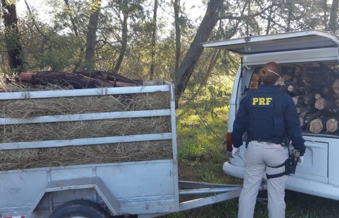 PRF prende homem por crime ambiental às margens da BR 386 em Canoas