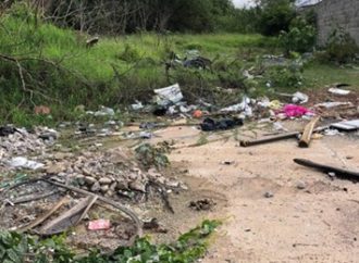 Homem é morto a pauladas e corpo encontrado atrás do Maxxi Atacado, em Canoas