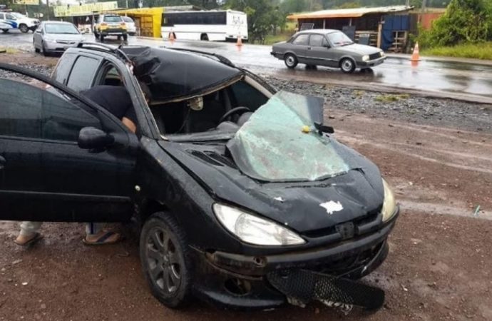 Acidente de trânsito causa morte de um cavalo