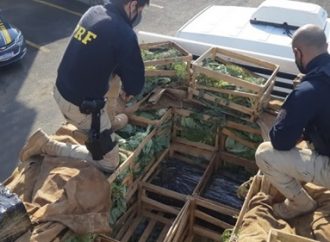 PRF prende traficante com 331 quilos de cocaína escondida em uma carga de legumes na Freeway, em Porto Alegre