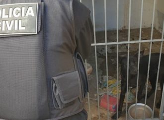 Moradores vão embora de casa e abandonam cão dentro de “cela” em Canoas