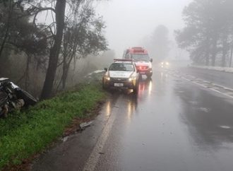 Carro com placas de Sapucaia do Sul colide em árvore e cai em barranco