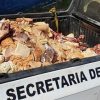 Após denúncia, dois mercados são interditados com 460kg de carne