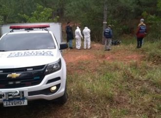 Corpo carbonizado é encontrado em matagal na região metropolitana de Porto Alegre