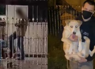 Vídeo de homem chutando cachorro viraliza e agressor recebe ‘visita’ de policiais