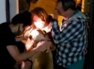Vídeo emocionante: Cão roubado no Litoral do RS é encontrado após um ano