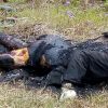 Corpo carbonizado é encontrado em Tramandaí