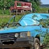 TRAGÉDIA: motorista morre após árvore cair em cima de carro