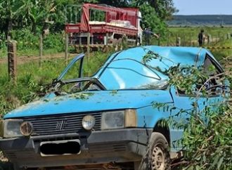 TRAGÉDIA: motorista morre após árvore cair em cima de carro