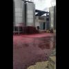 Vídeo: Tanque de vinho explode e derrama mais de 50 mil litros de bebida; veja o momento