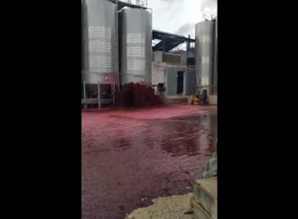 Vídeo: Tanque de vinho explode e derrama mais de 50 mil litros de bebida; veja o momento