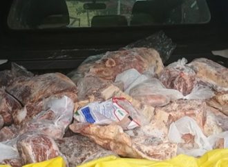 Carne imprópria para consumo é doada ao Zoológico de Sapucaia do Sul