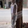 Homem é amarrado em árvore com plástico filme após não pagar por tatuagem