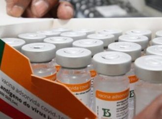 Mais de 35 mil doses da Coronavac chegam a Porto Alegre