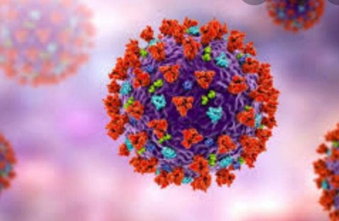 Possível nova variante do coronavírus é descoberta em Belo Horizonte Saiba mais: