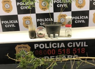 Servidor Público foi preso em flagrante por cultivar plantas de maconha em casa.