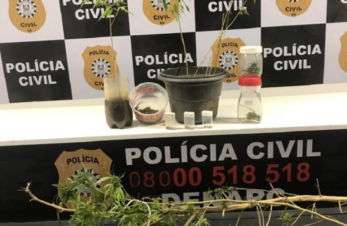 Servidor Público foi preso em flagrante por cultivar plantas de maconha em casa.