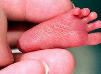 Após aborto, adolescente joga feto para cachorro