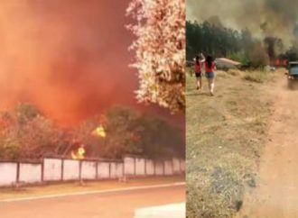 VÍDEO: Incêndio de grandes proporções atinge área urbana e assusta moradores de Bela Vista