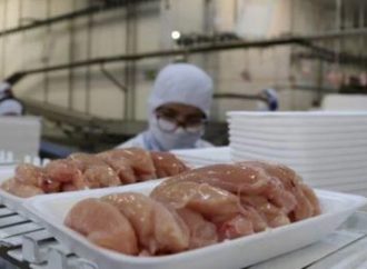 PREPAREM O BOLSO : Carne de frango está 20% mais cara e pode subir mais ainda