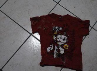 Caso Miguel: Perícia confirma que sangue encontrado em camiseta é de menino desaparecido