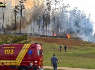 VÍDEOS: Sete Pessoas morrem em queda de aeronave em área de mata de São Paulo