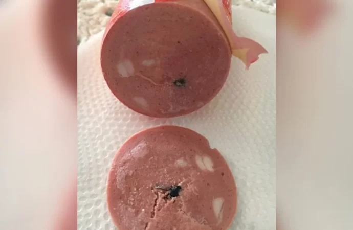 Mãe será indenizada após achar mosca-varejeira dentro de mortadela