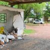 Ataque a tiros mata duas pessoas e deixa outras três feridas na zona Norte de Porto Alegre