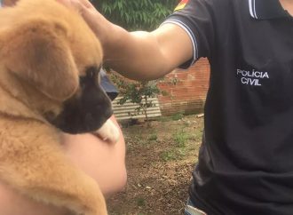 Mulher é presa por maus-tratos após ser vista tentando enforcar cachorro