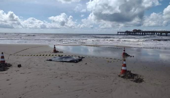 ATUALIZANDO:  Corpo encontrado pode ser de menino jogado no mar pela mãe em tramandaí