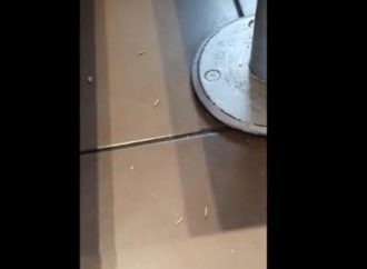 VÍDEO: Clientes entram em desespero ao notarem larvas caindo do teto no McDonald’s