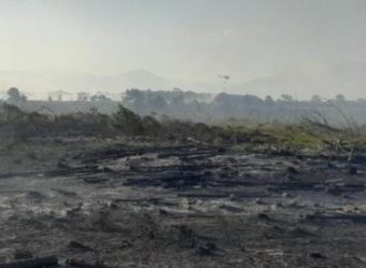 Bombeiros combatem incêndio de grandes proporções na vegetação em Capão da Canoa