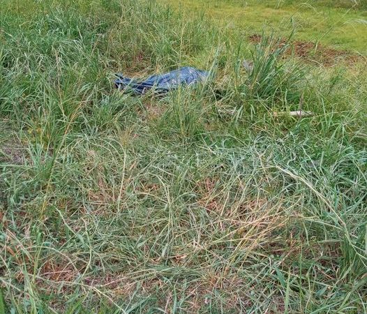 Homem mata irmã e cunhado a facadas na frente das sobrinhas de 12 anos