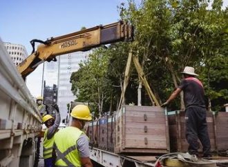 Porto Alegre recebe doação para arborização do Centro Histórico
