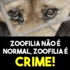 Homem é investigado por zoofilia em Balneário Pinhal