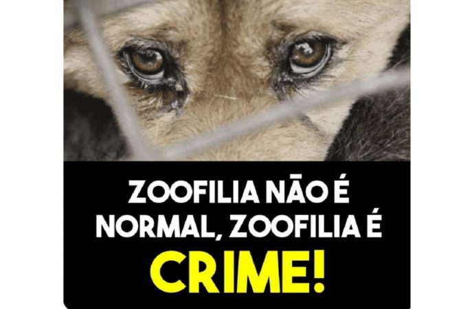 Homem é investigado por zoofilia em Balneário Pinhal