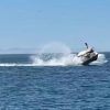 Barco se choca com baleia jubarte e turistas são lançados ao ar; assista o vídeo