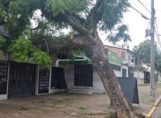 Passagem de ciclone provoca queda de árvores, postes e fios em Porto Alegre