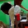 Mãe macaco leva filhote até consultório médico e pede ajuda