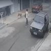 VÍDEO: Mulher é mordida por pitbull em calçada após cão escapar de garagem