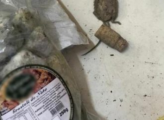Ratos e alimentos vencidos são encontrados em restaurante interditado no Vale do Caí