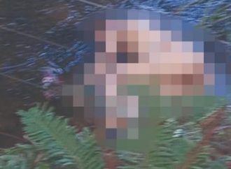 Mulher é encontrada morta dentro da Barragem da Corsan