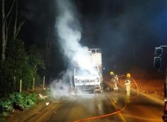 Caminhão carregado de frangos pega fogo em SC