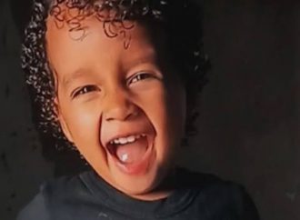 Pitbull mata criança de 3 anos, corpo só foi resgatado após animal ser sacrificado